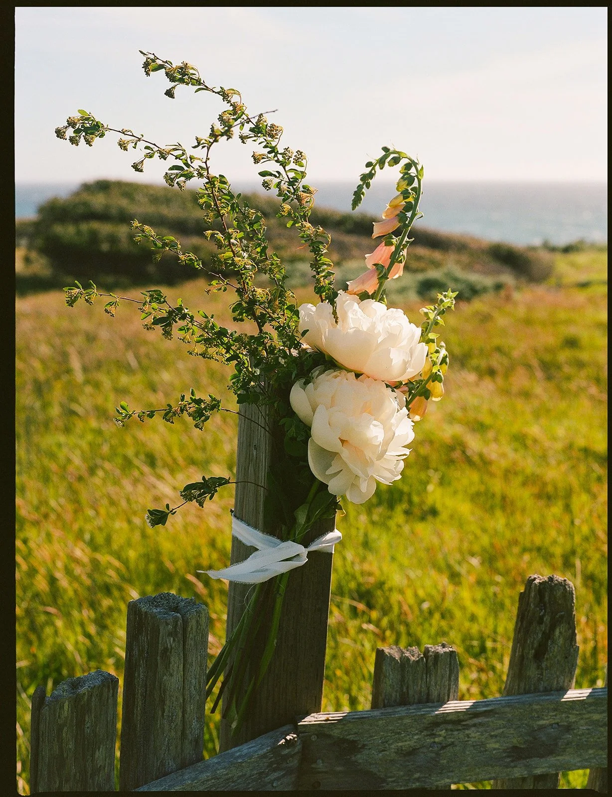 DianaRotheryWeddings_Sea Ranch Wedding-42.jpg