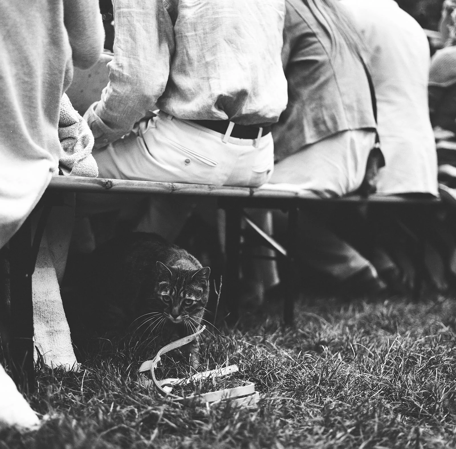 DianaRotheryWeddings_Henry Miller Library Big Sur Wedding-79.jpg