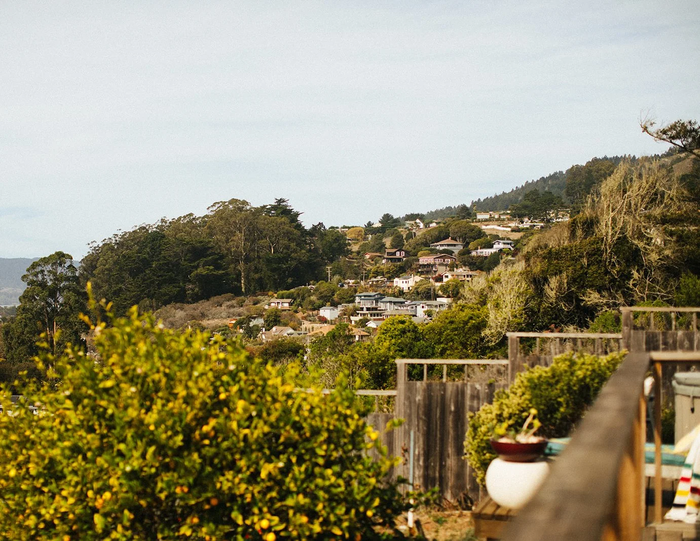 DianaRotheryWeddings_Sausalito Willow Camp Wedding-18.jpg