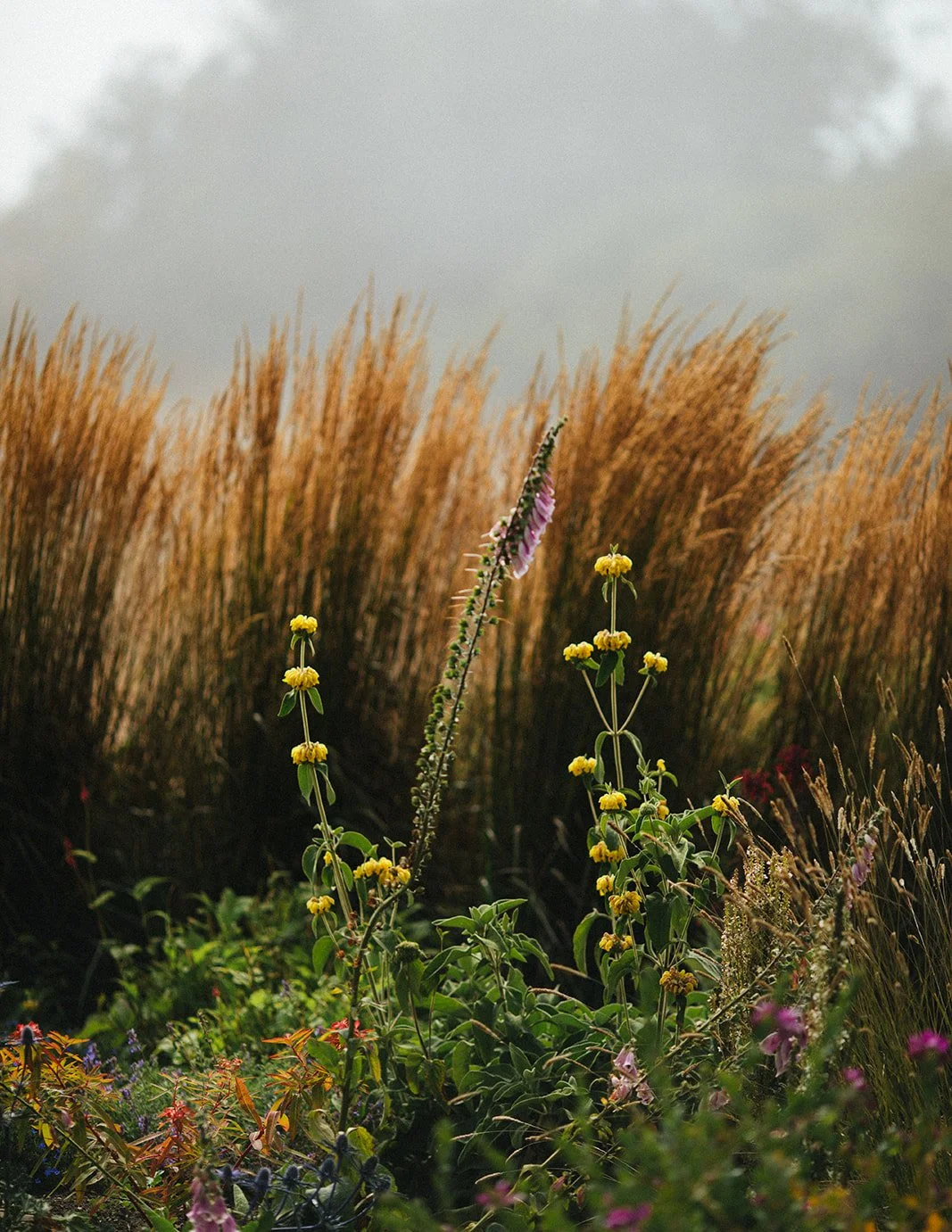 DianaRotheryWeddings_Switzer Farm Wedding-53.jpg