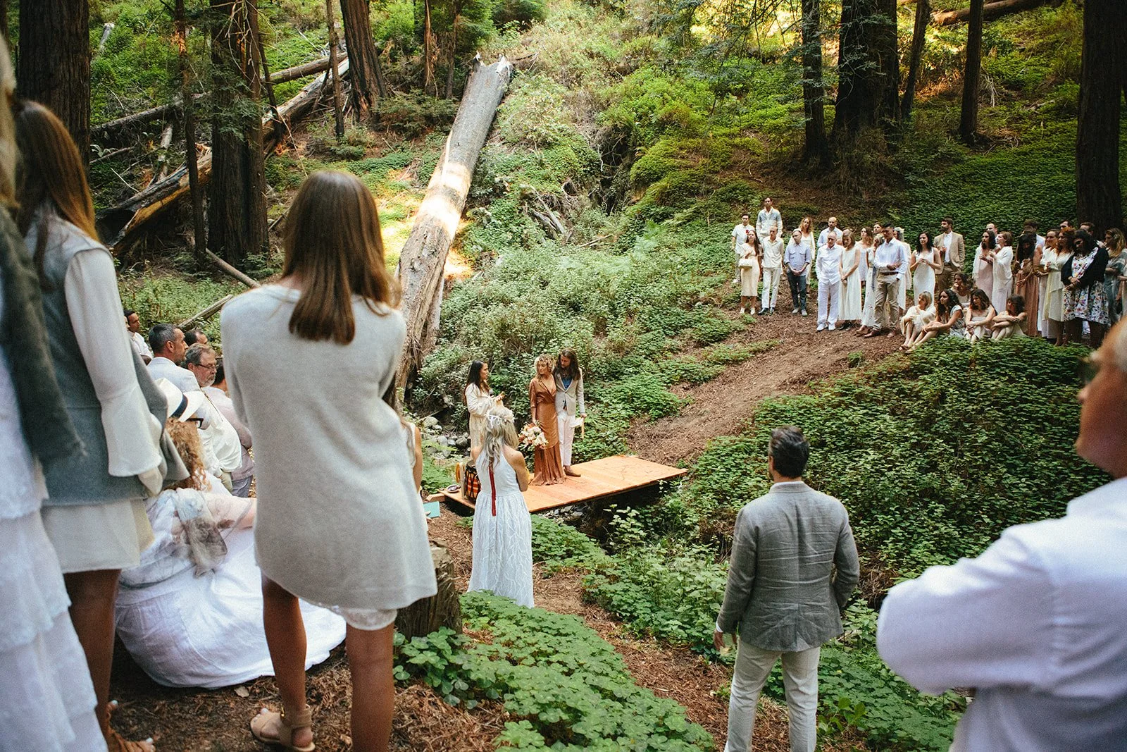 DianaRotheryWeddings_Henry Miller Library Big Sur Wedding-61.jpg