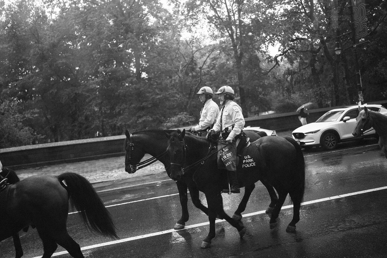 DianaRotheryWeddings_NYC New York City Wedding-19.jpg