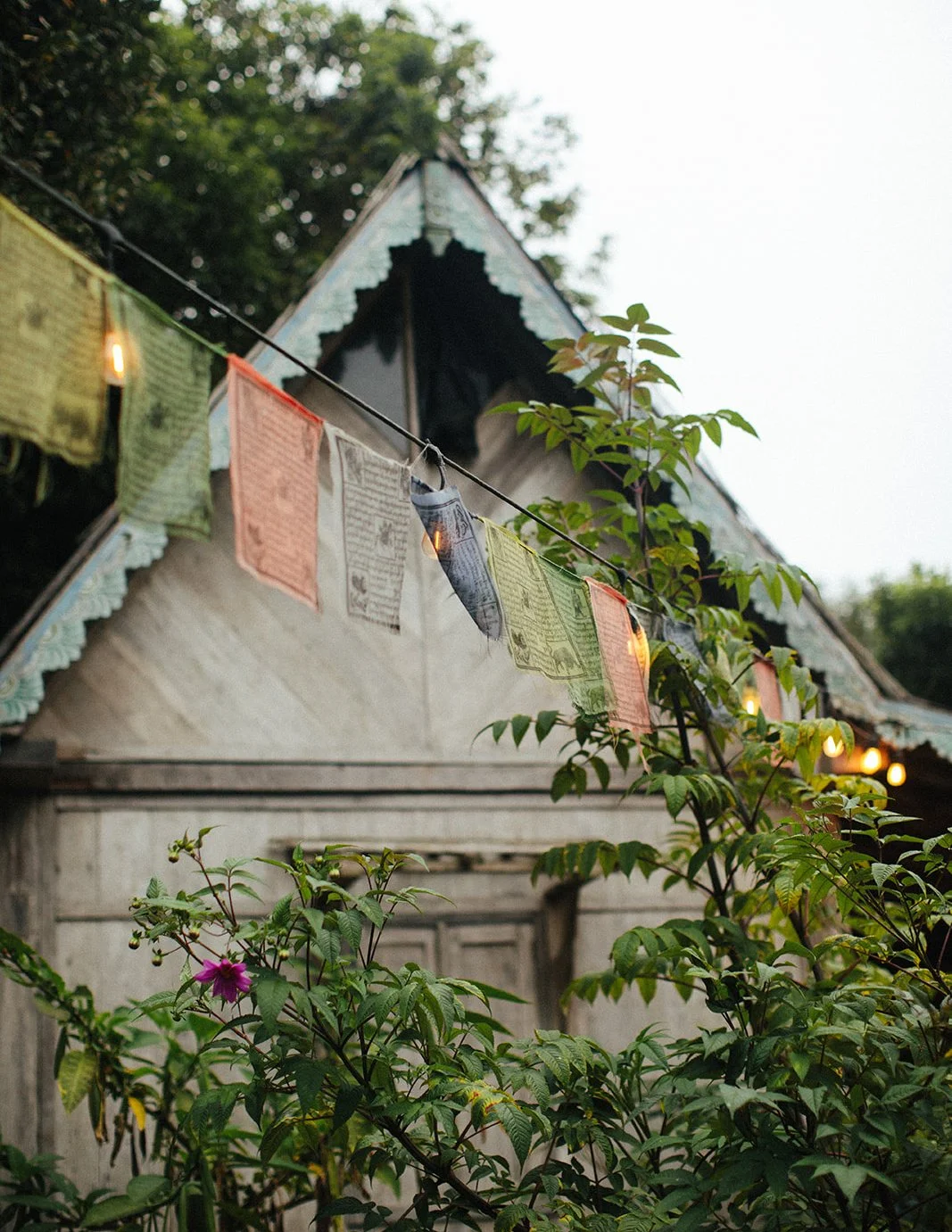 DianaRotheryWeddings_Sausalito Willow Camp Wedding-6.jpg