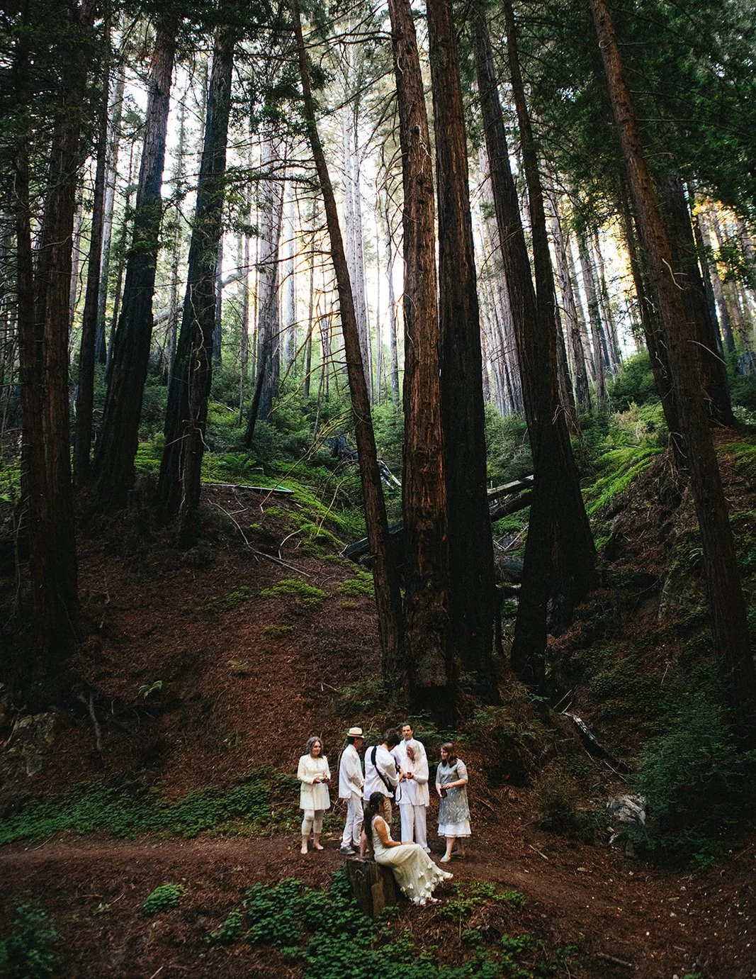 DianaRotheryWeddings_Henry Miller Library Big Sur Wedding-66.jpg