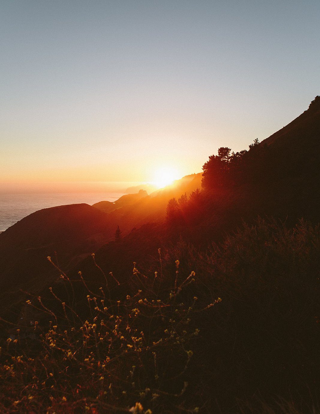 DianaRotheryWeddings_Henry Miller Library Big Sur Wedding-88.jpg