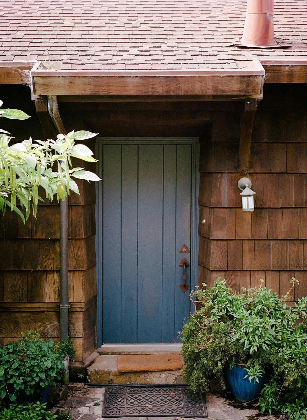 DianaRotheryWeddings_Sausalito Willow Camp Wedding-28.jpg