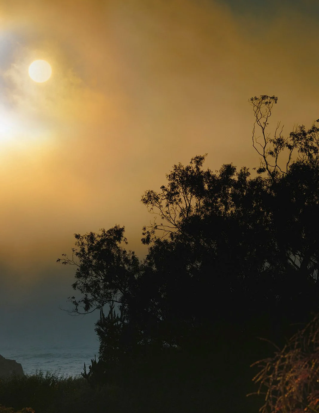 DianaRotheryWeddings_Switzer Farm Wedding-25.jpg