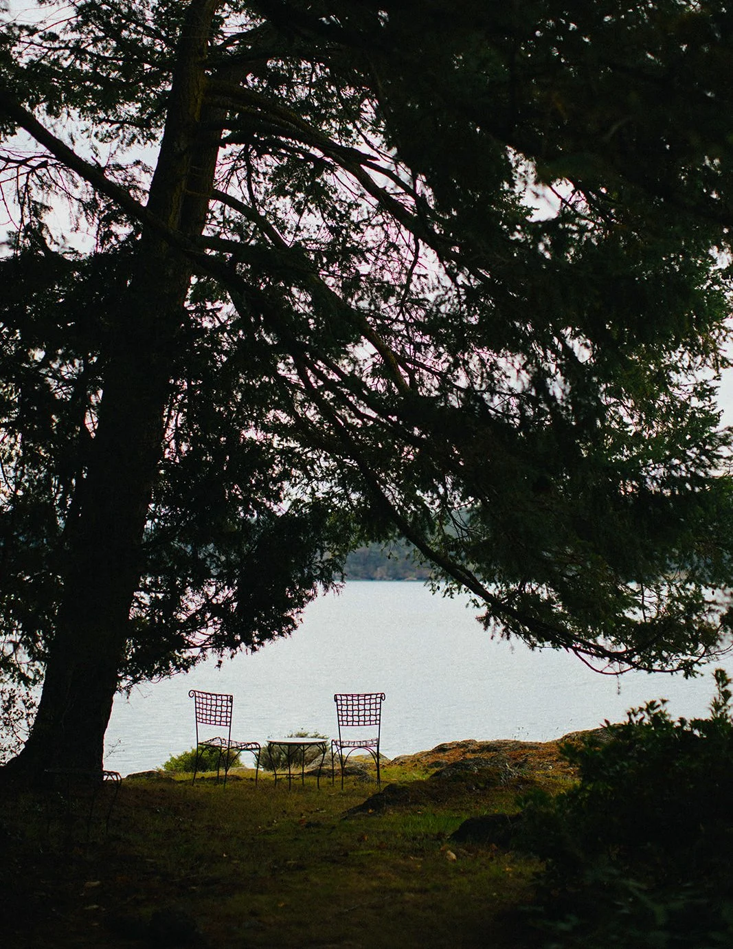 DianaRotheryWeddings_Orcas Island Wedding-10.jpg