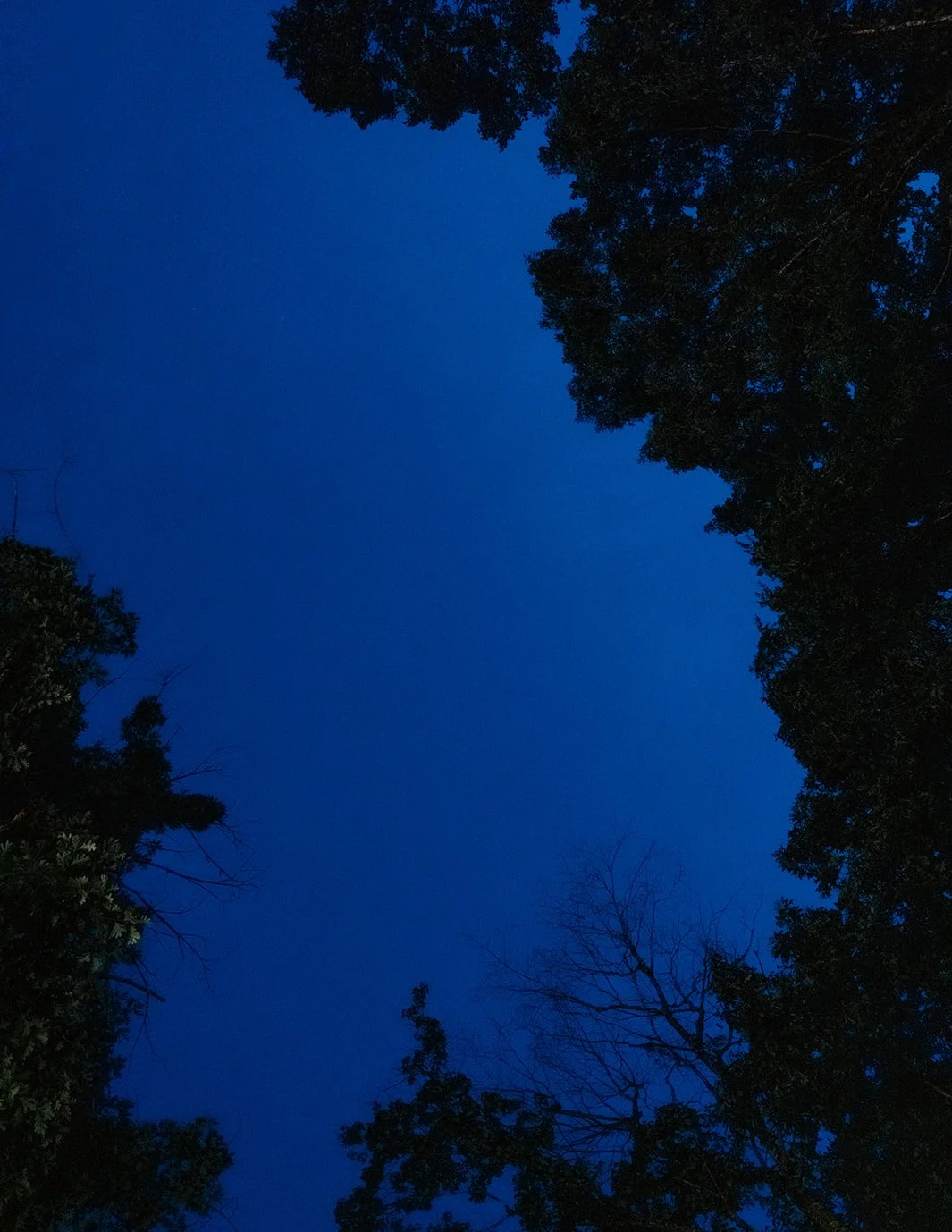 DianaRotheryWeddings_North Carolina Grove Wedding-104.jpg