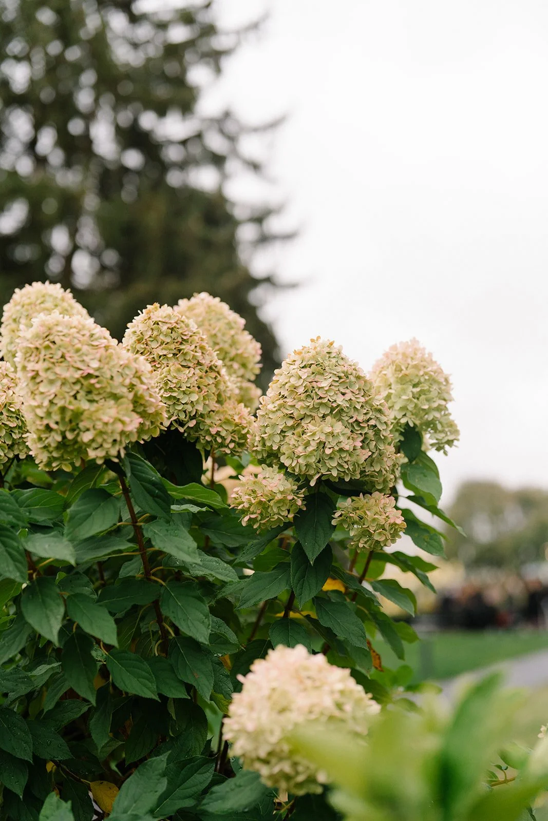 DianaRotheryWeddings_NYC New York City Wedding-59.jpg