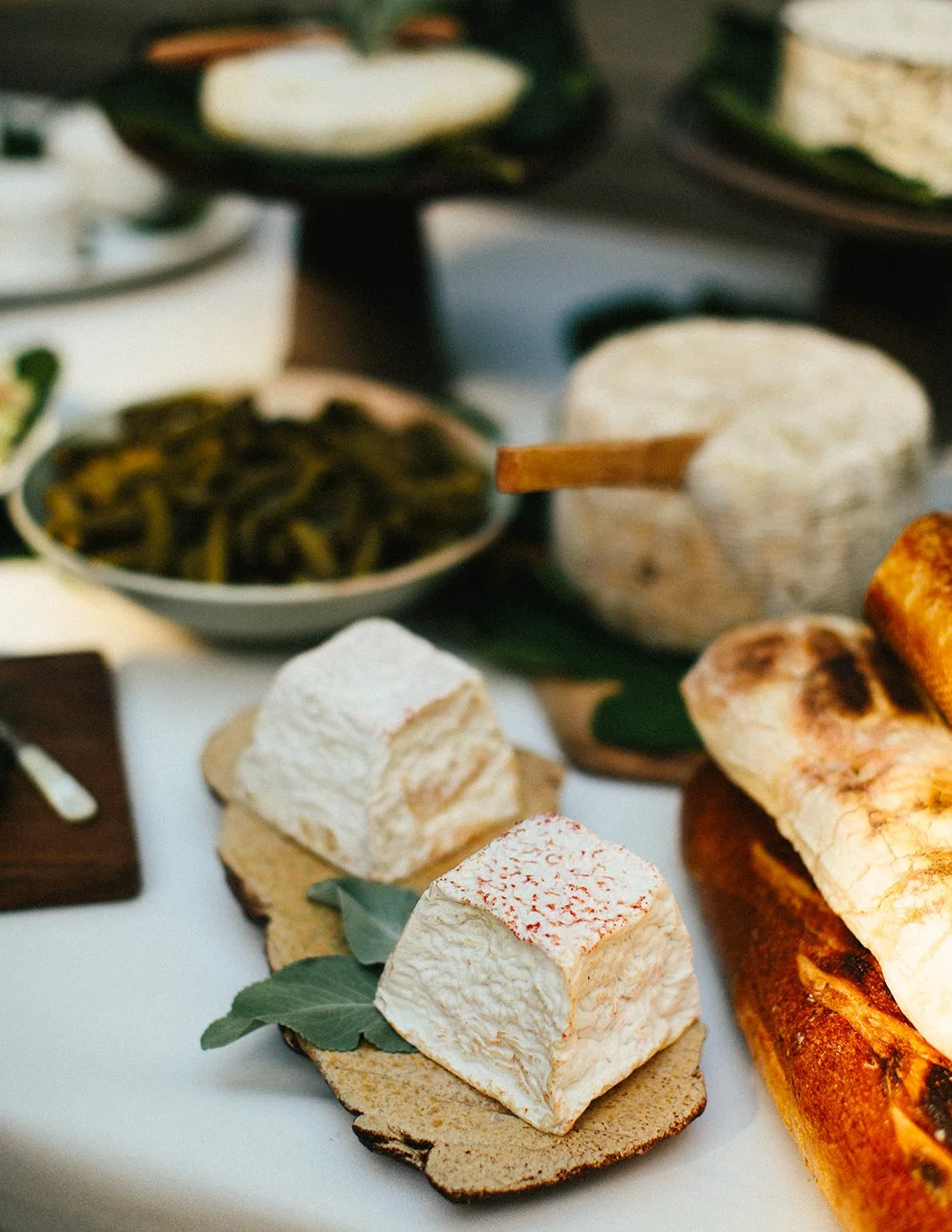 DianaRotheryWeddings_Henry Miller Library Big Sur Wedding-25.jpg