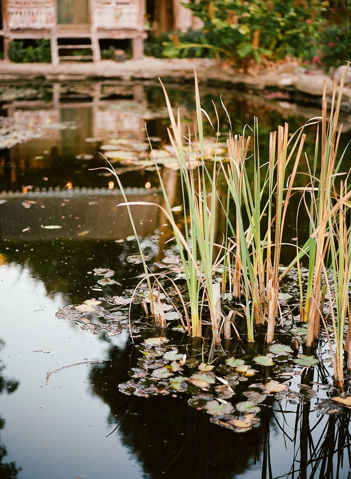 DianaRotheryWeddings_Sausalito Willow Camp Wedding-69.jpg