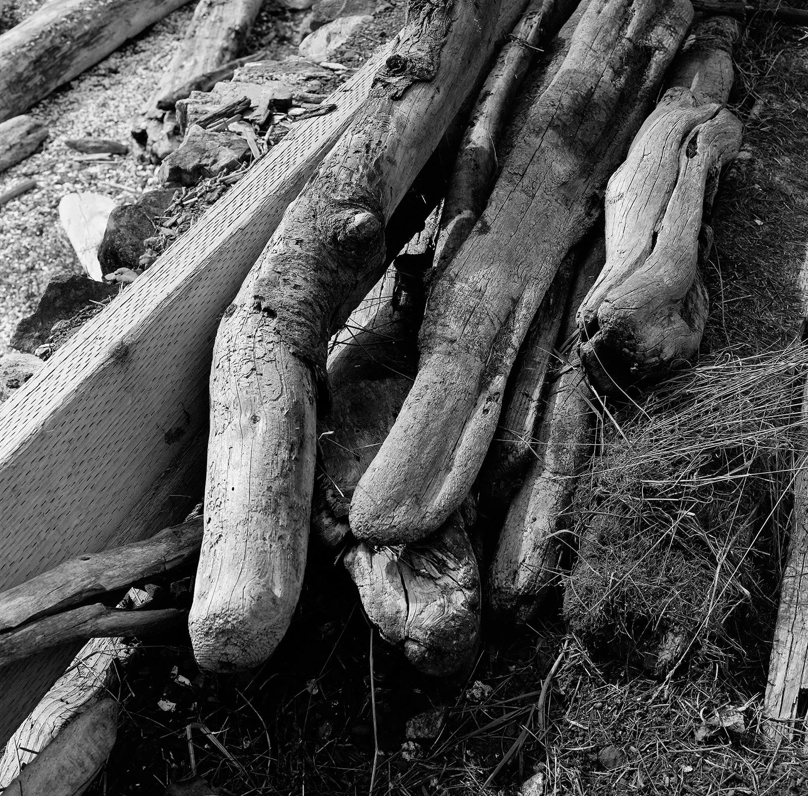 DianaRotheryWeddings_Orcas Island Wedding-7.jpg