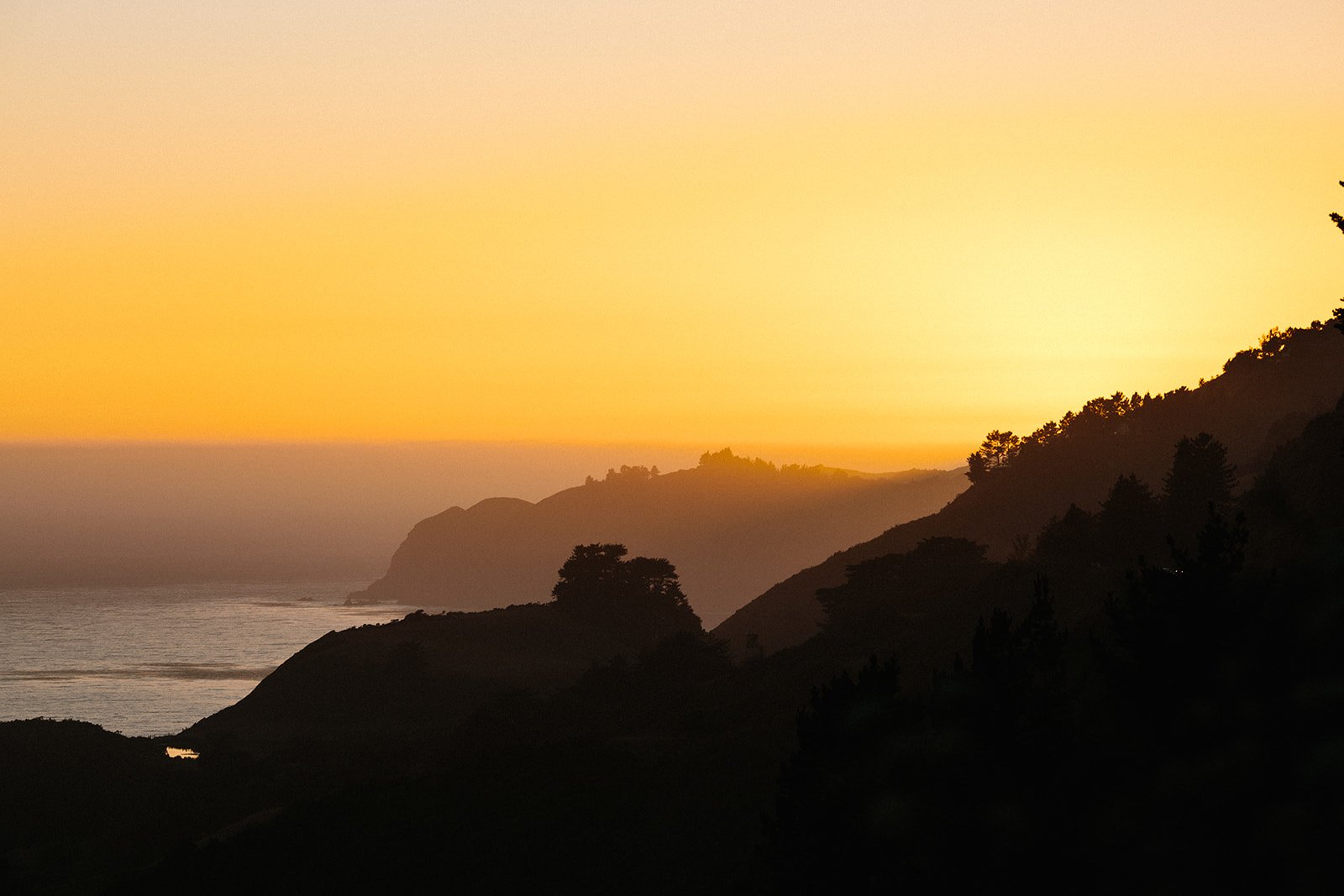 DianaRotheryWeddings_Henry Miller Library Big Sur Wedding-94.jpg