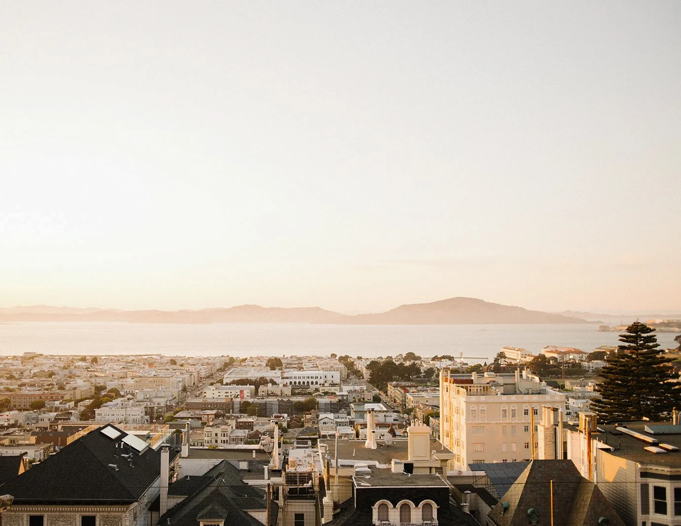 DianaRotheryWeddings_San Francisco Flood Mansion Wedding-25.jpg