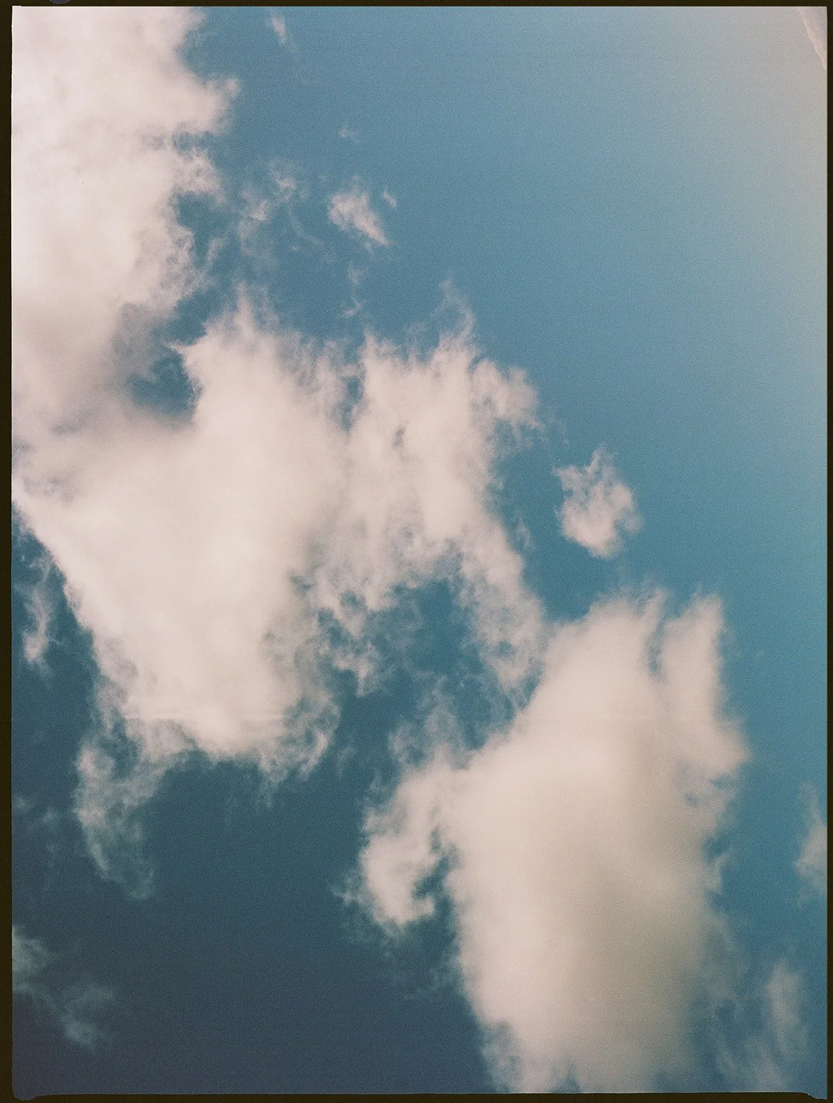 DianaRotheryWeddings_Sea Ranch Wedding-1.jpg