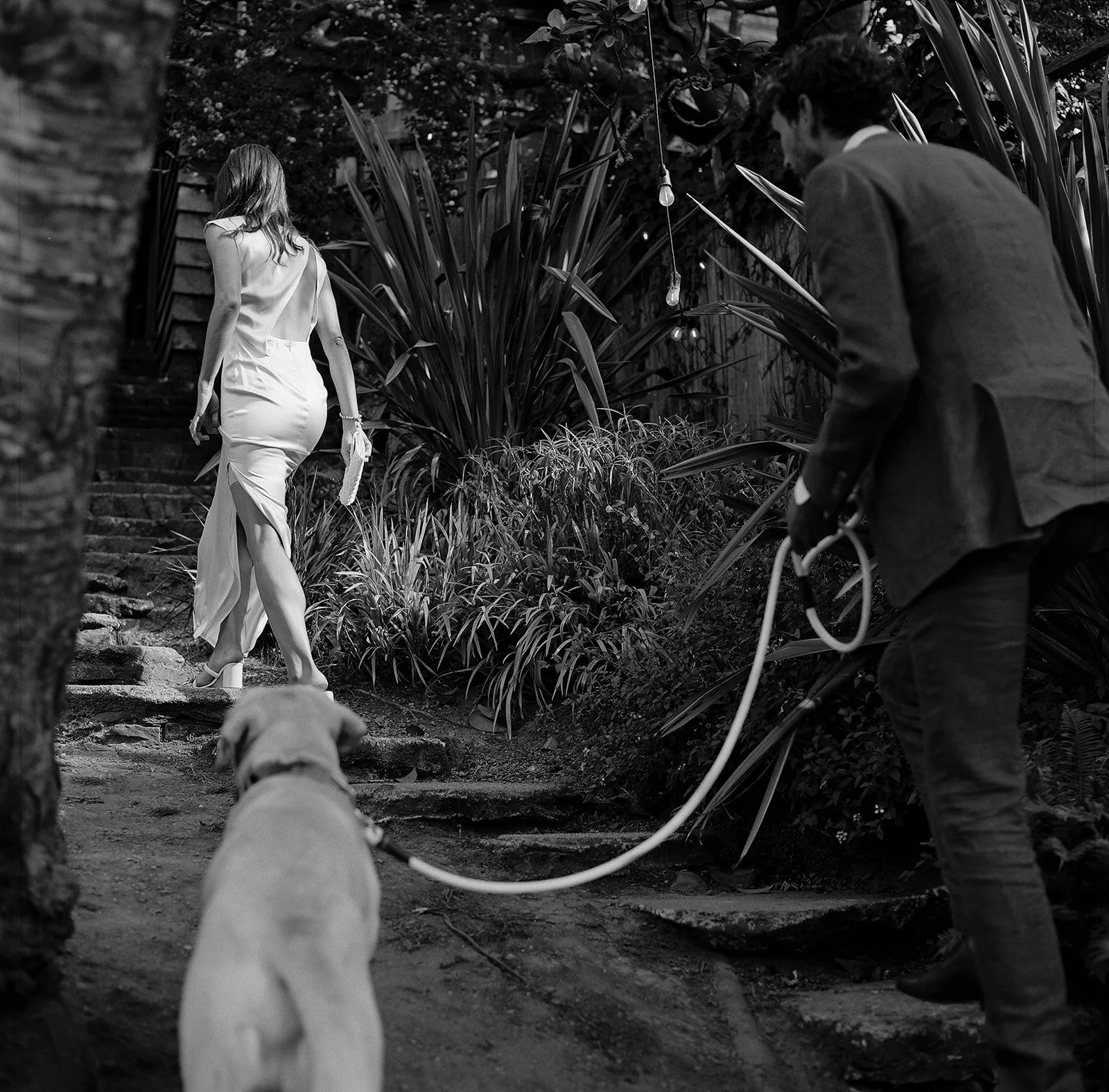 DianaRotheryWeddings_Sausalito Willow Camp Wedding-46.jpg