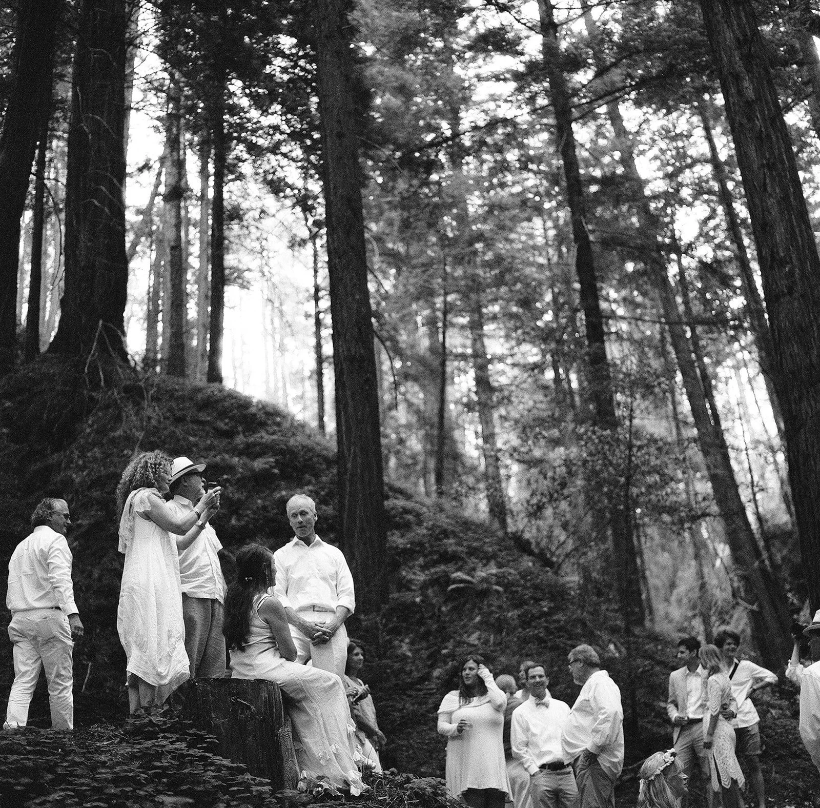 DianaRotheryWeddings_Henry Miller Library Big Sur Wedding-64.jpg