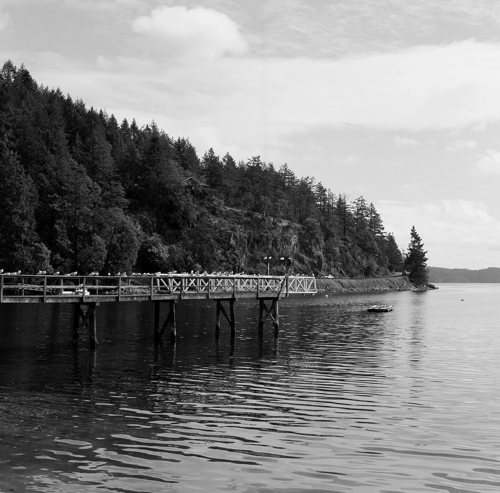 DianaRotheryWeddings_Orcas Island Wedding-8.jpg