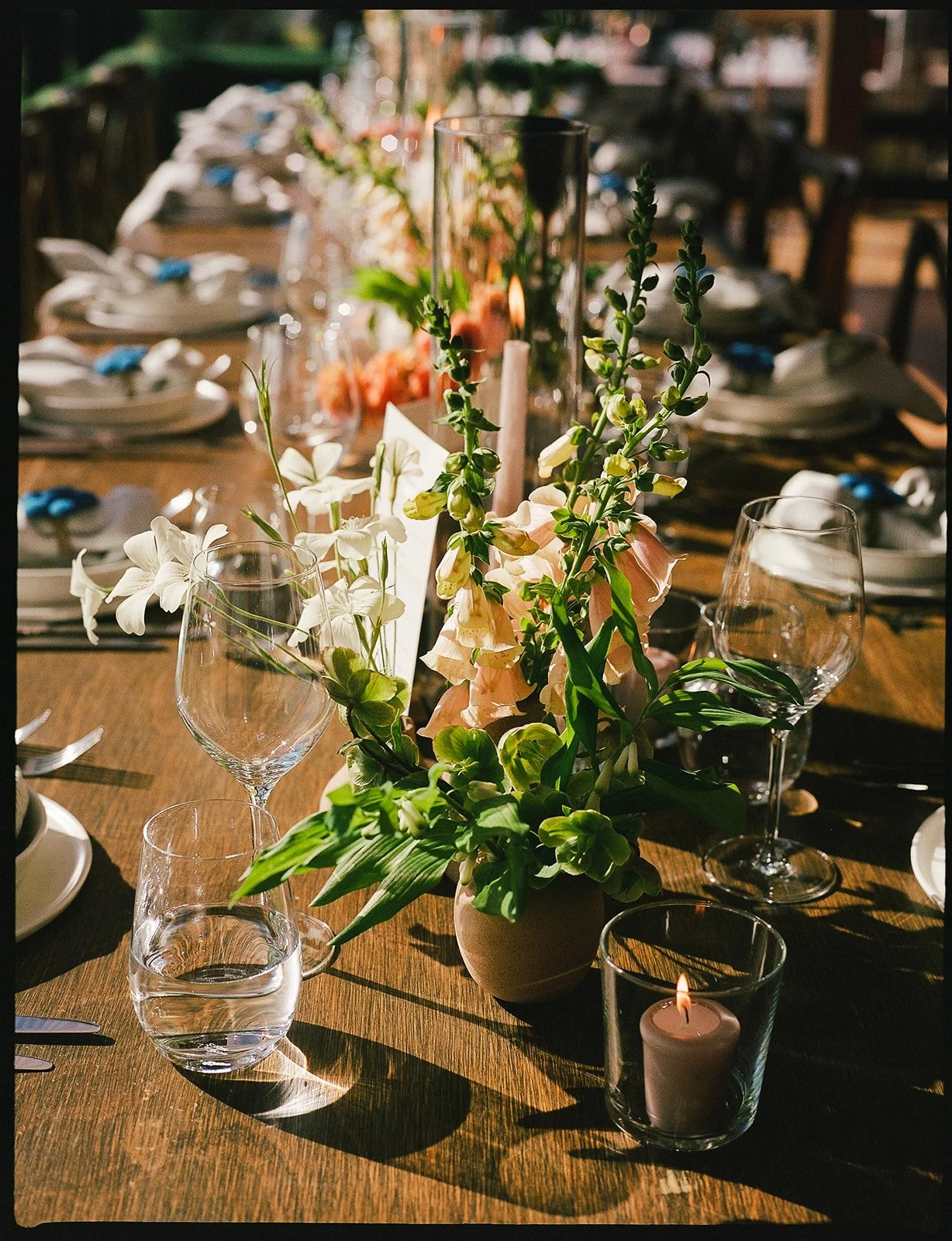 DianaRotheryWeddings_Sea Ranch Wedding-55.jpg