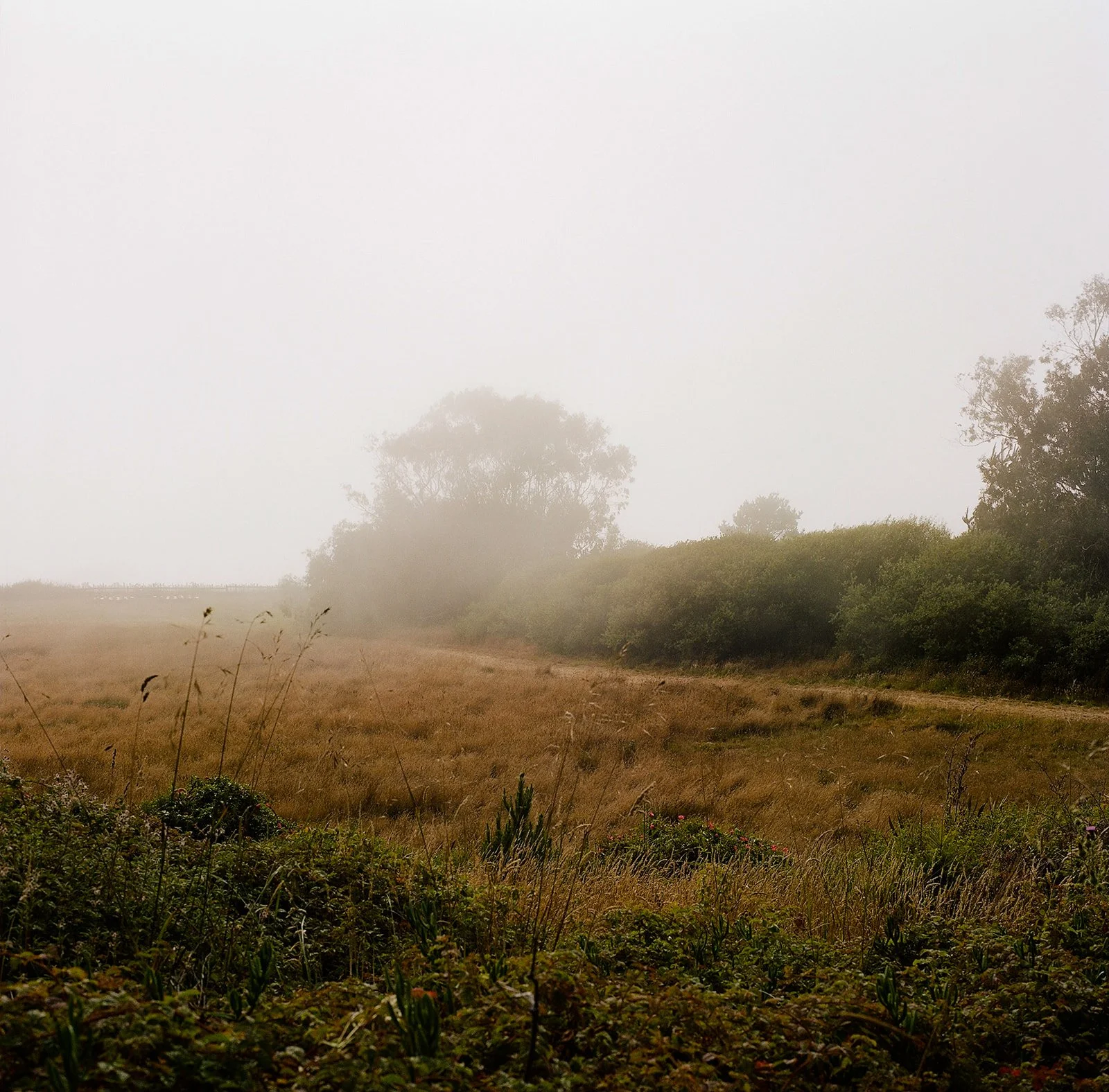 DianaRotheryWeddings_Switzer Farm Wedding-59.jpg