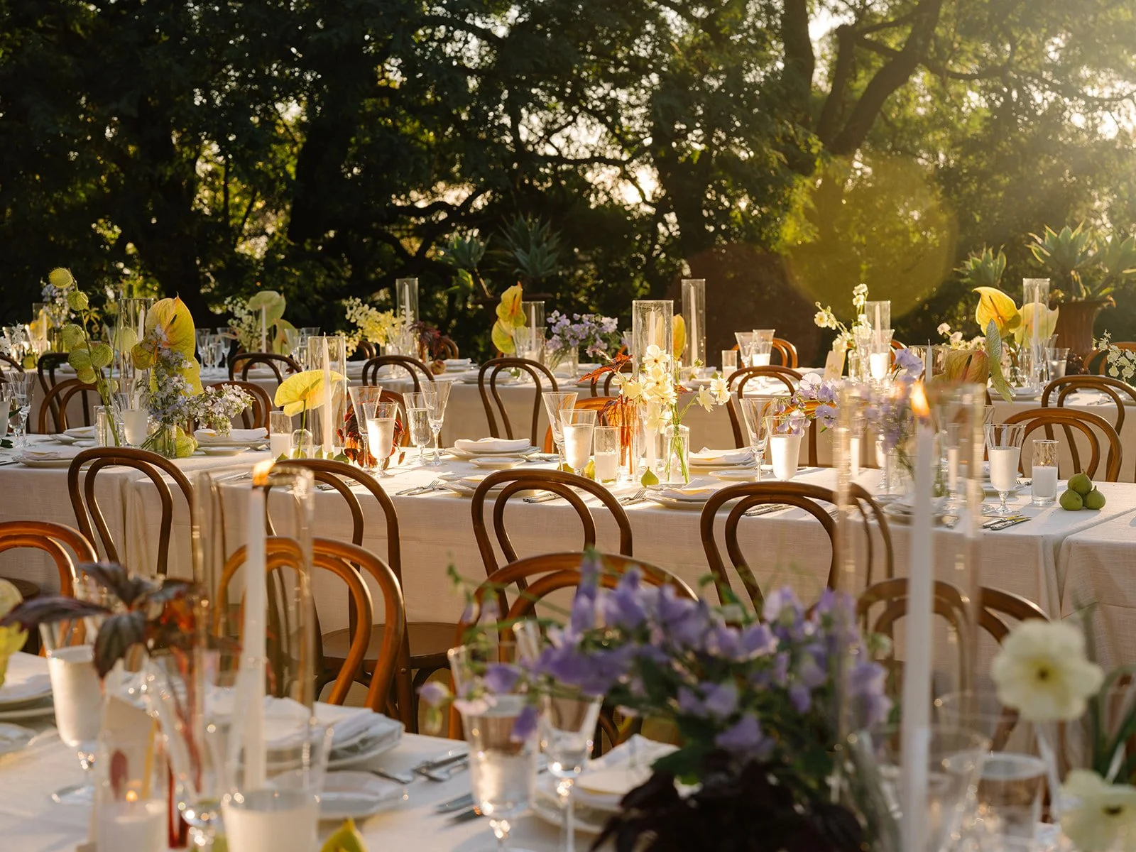 Julie+Jonathan-0803.jpg