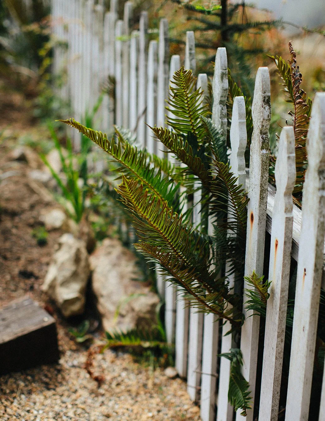 DianaRotheryWeddings_Switzer Farm Wedding-16.jpg