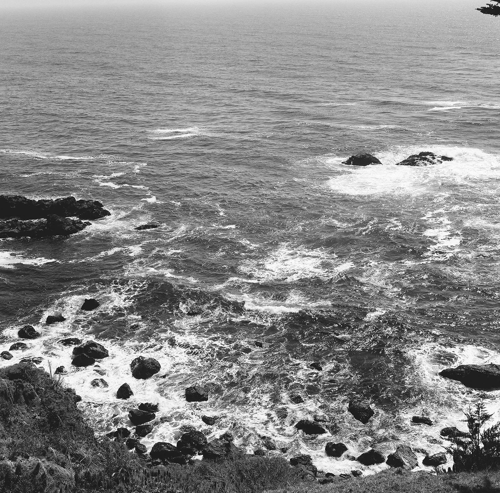 DianaRotheryWeddings_Henry Miller Library Big Sur Wedding-18.jpg