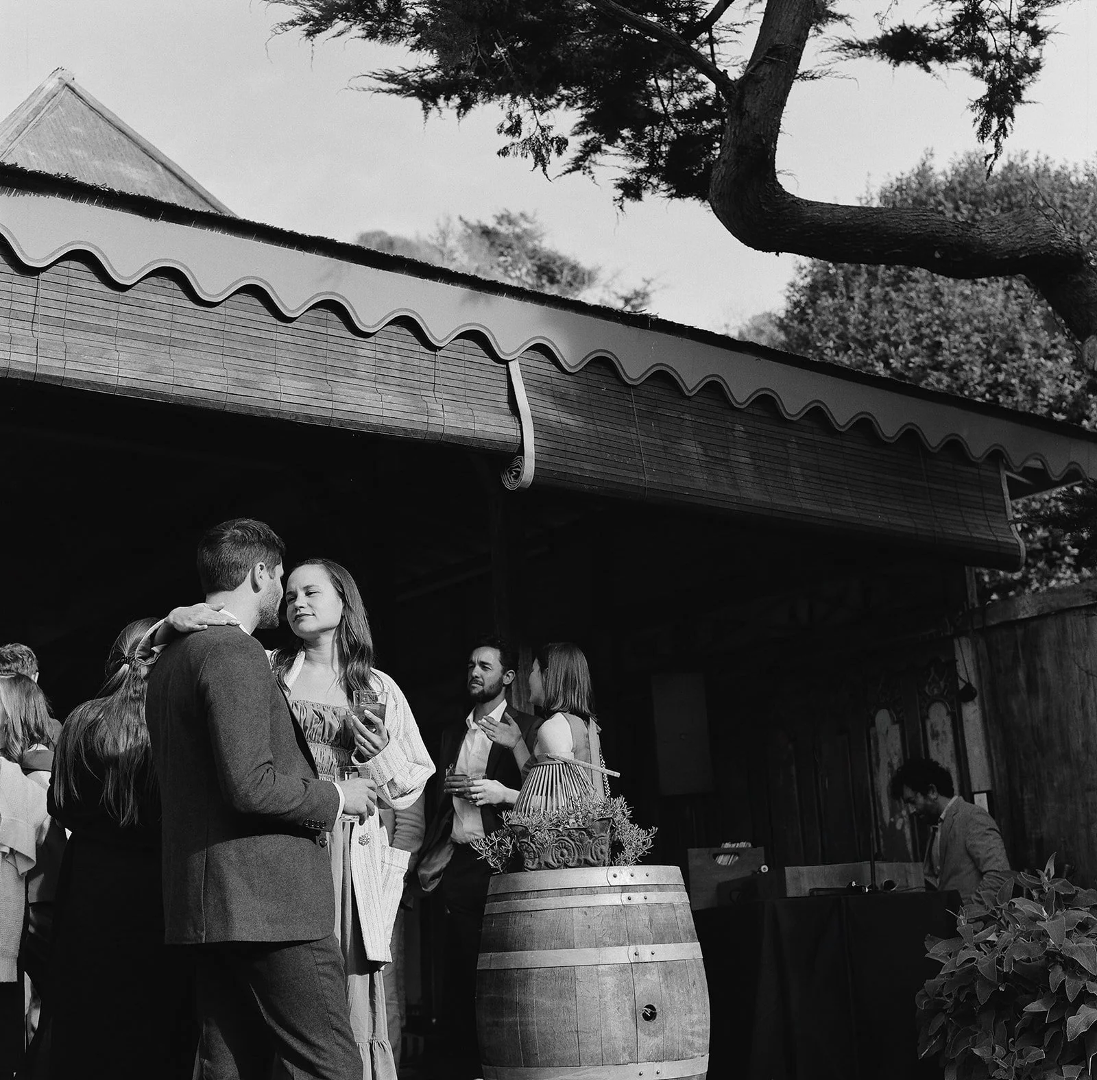 DianaRotheryWeddings_Sausalito Willow Camp Wedding-74.jpg