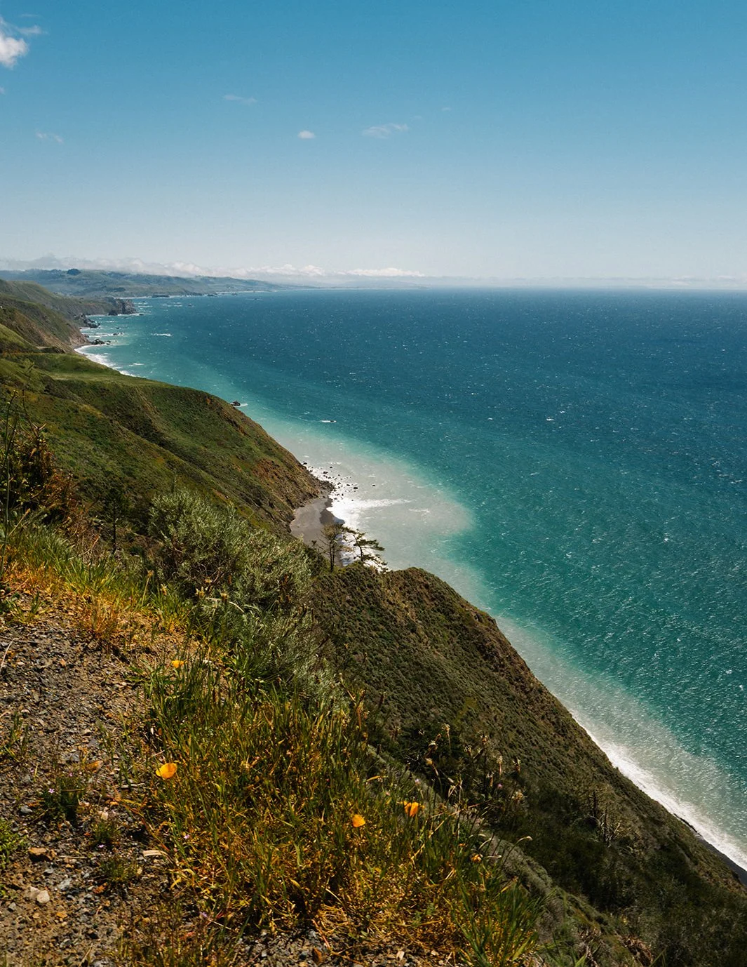 DianaRotheryWeddings_Sea Ranch Wedding-88.jpg