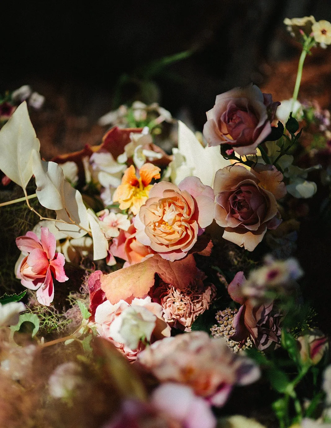 DianaRotheryWeddings_Henry Miller Library Big Sur Wedding-20.jpg