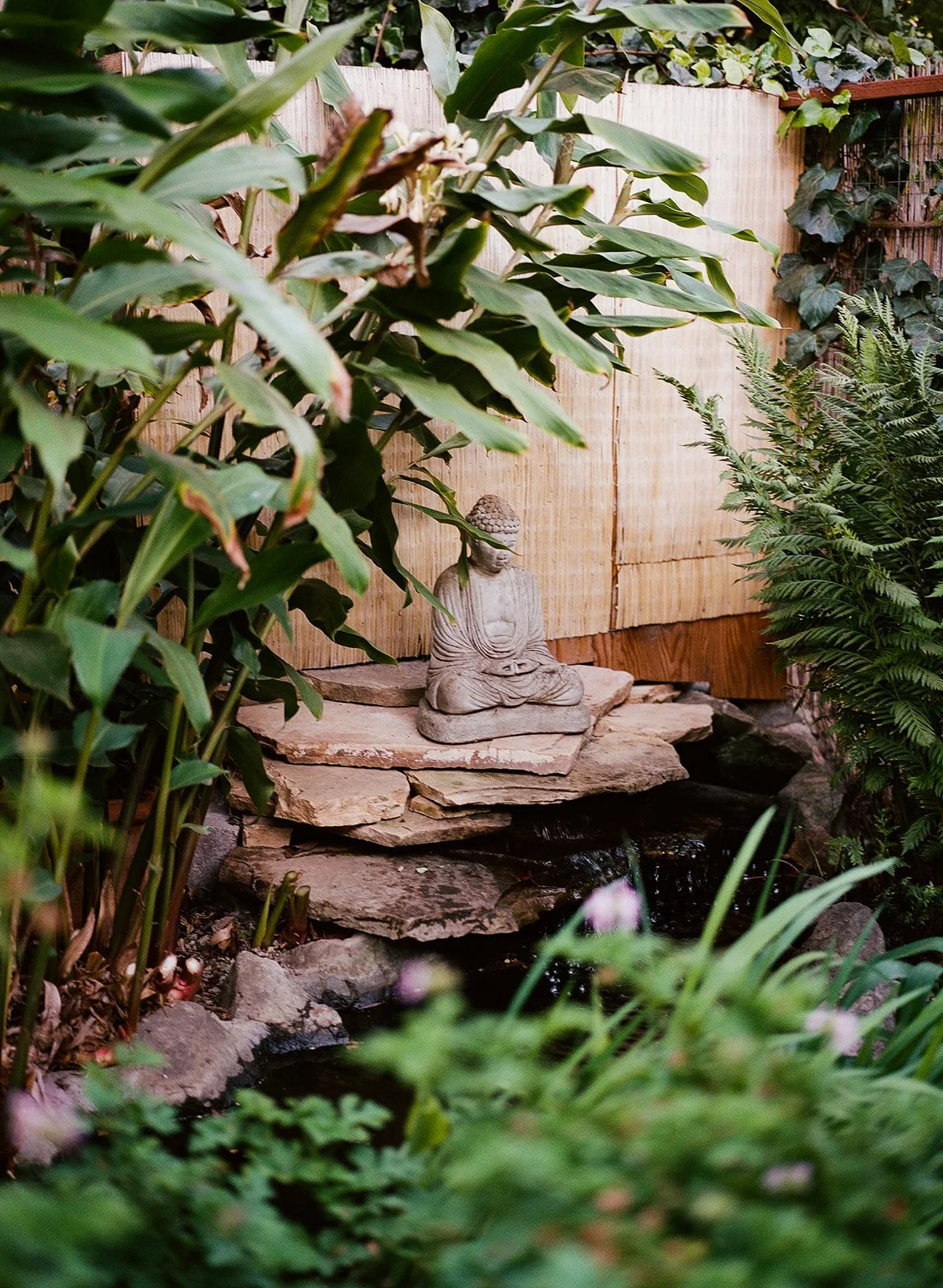 DianaRotheryWeddings_Sausalito Willow Camp Wedding-66.jpg