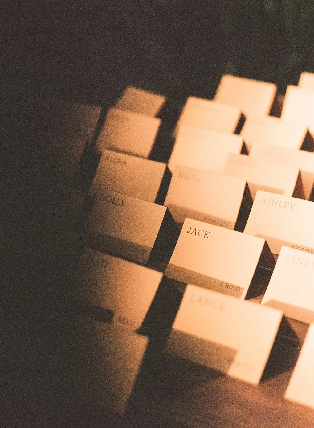 DianaRotheryWeddings_Sausalito Willow Camp Wedding-64.jpg