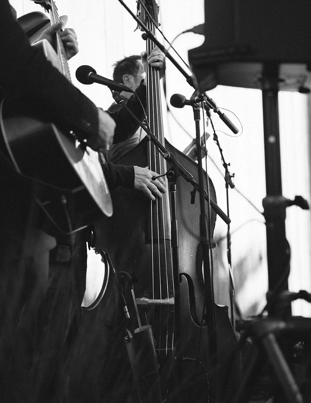 DianaRotheryWeddings_Sea Ranch Wedding-95.jpg