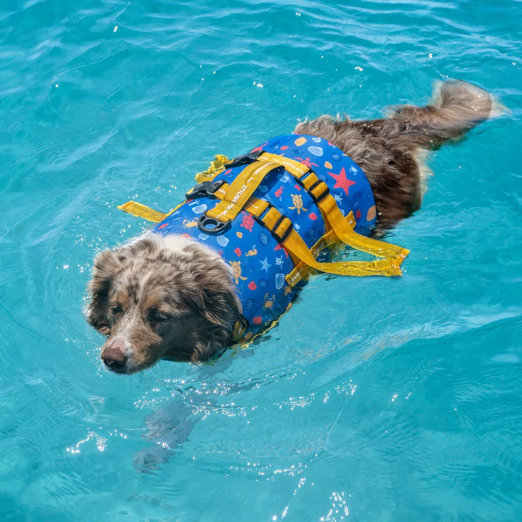 Dog Swim Vests