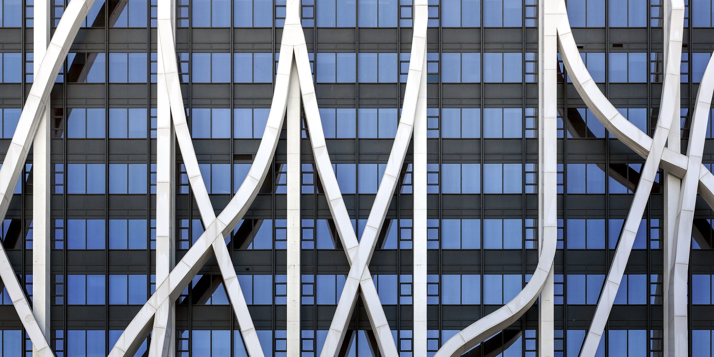 Commercial Photographer of the Year 2025 