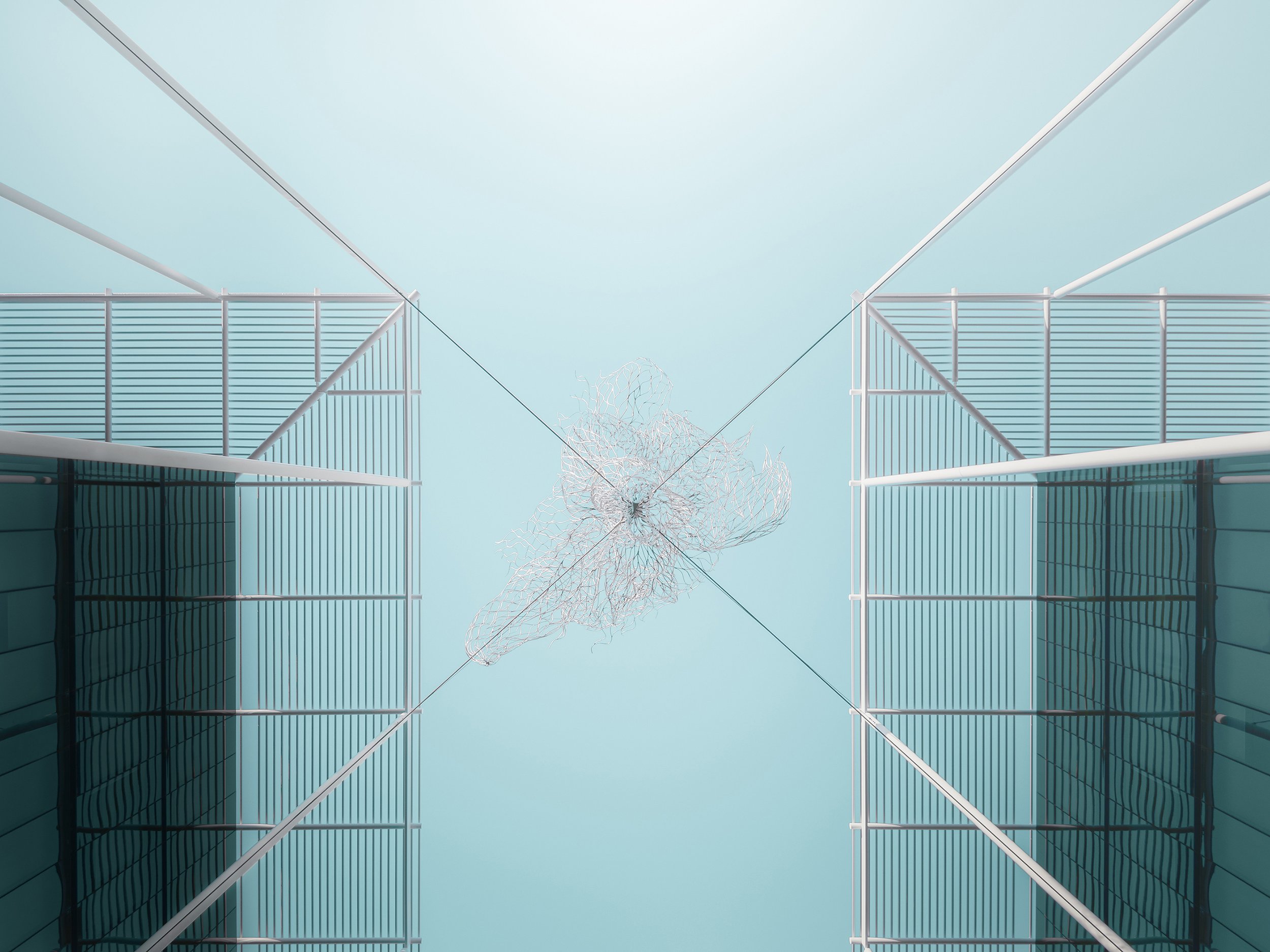 AIPP WA Commercial Photographer of the Year 2019