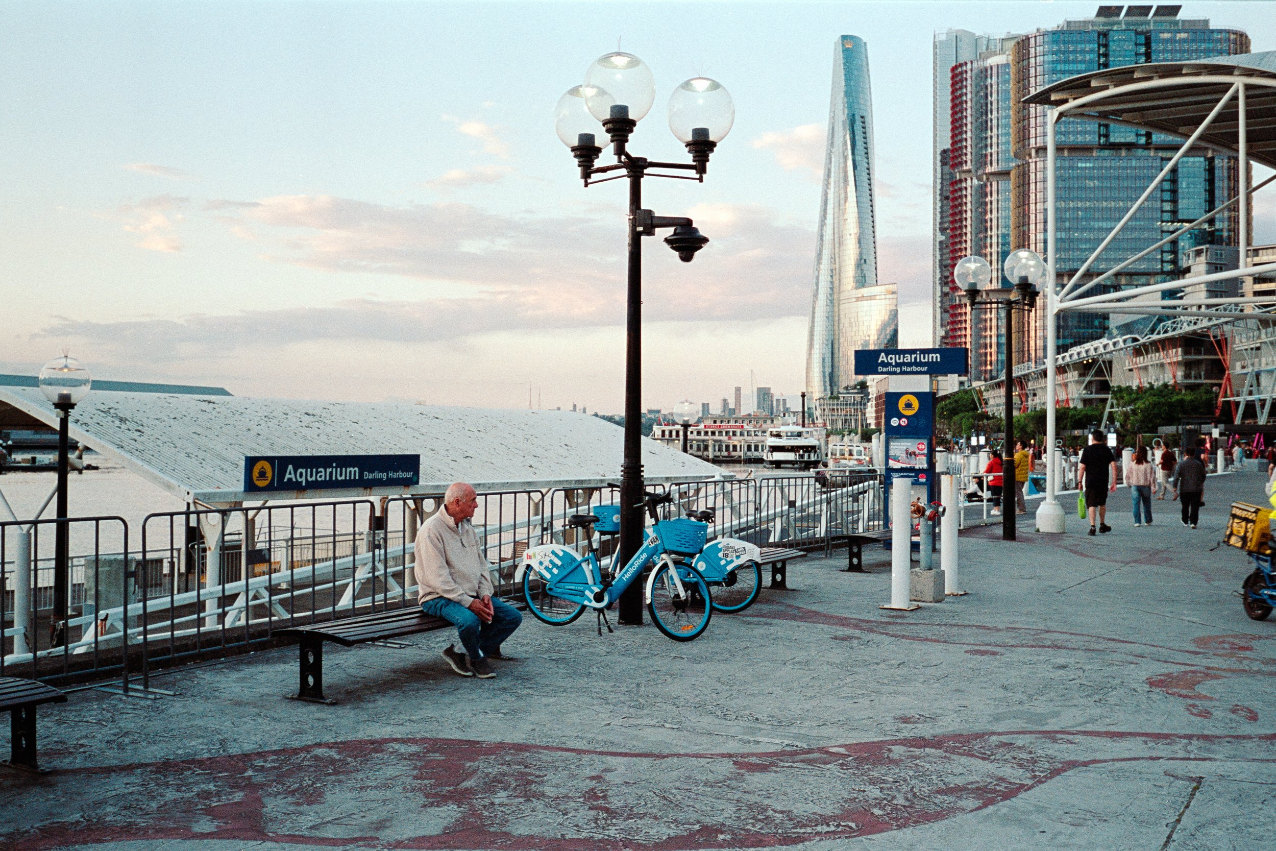 20251102_AUS_P800_ (19).jpg