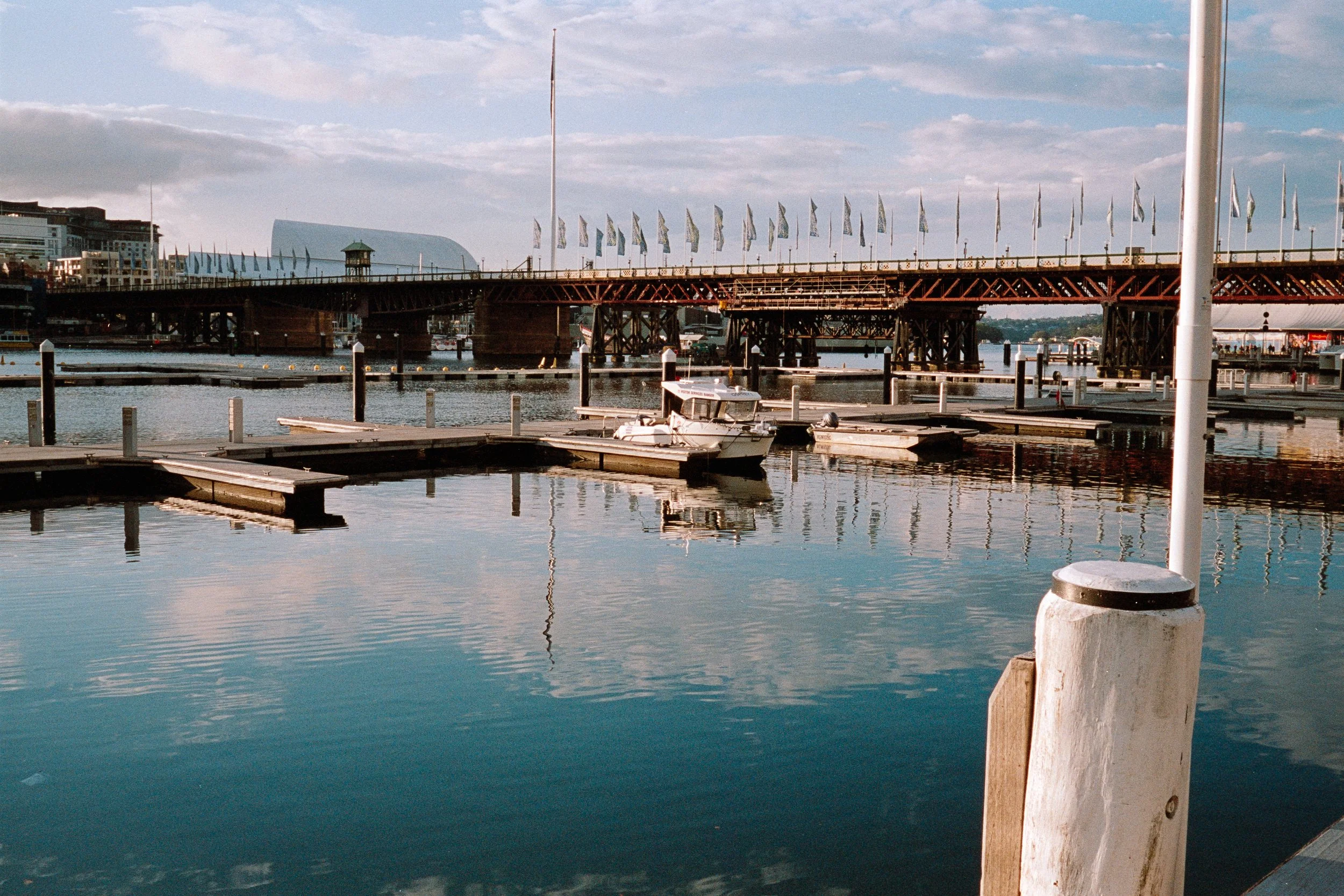 20251102_AUS_P800_ (11).jpg