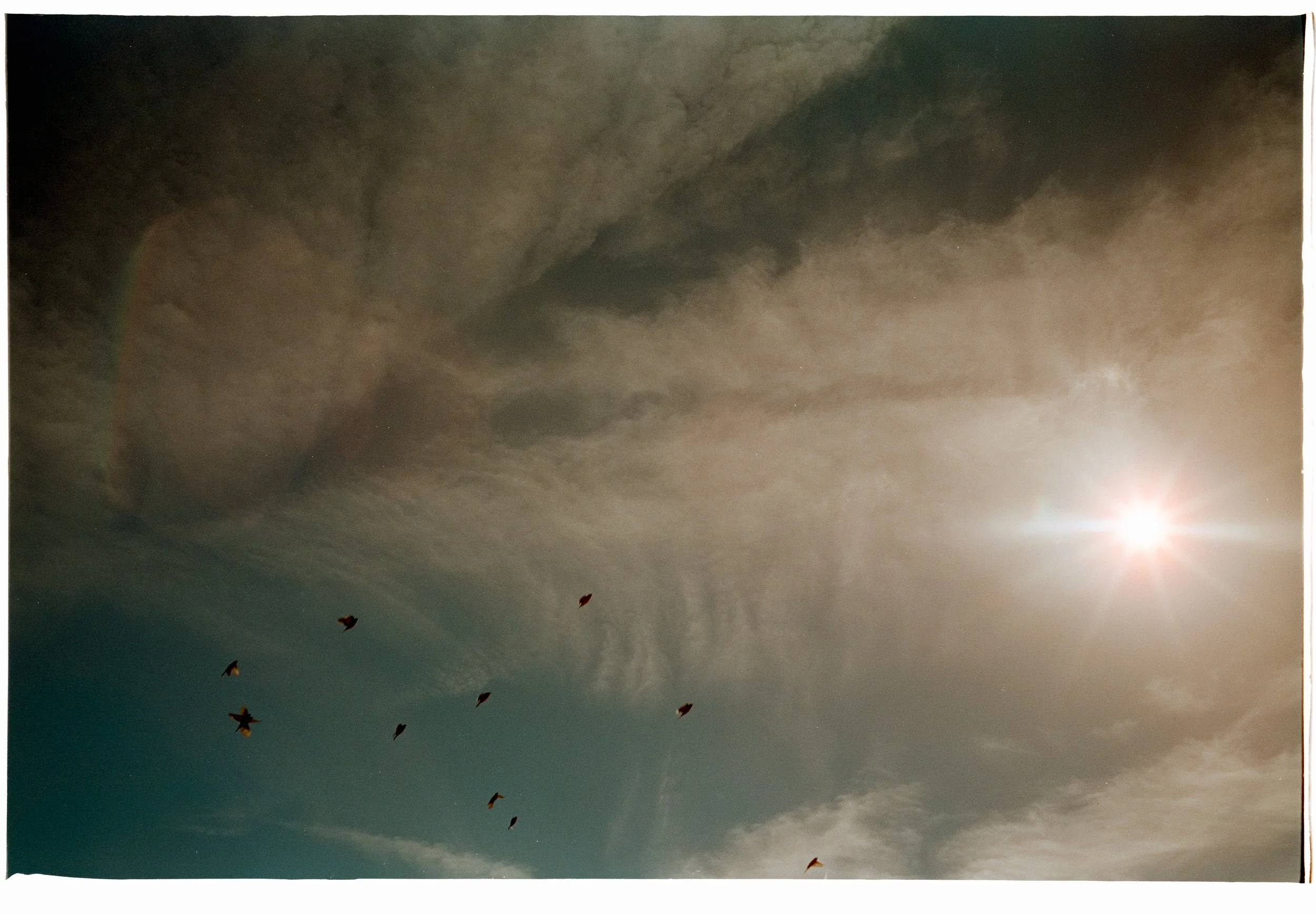 20251221_800T_m2_ (8).jpg