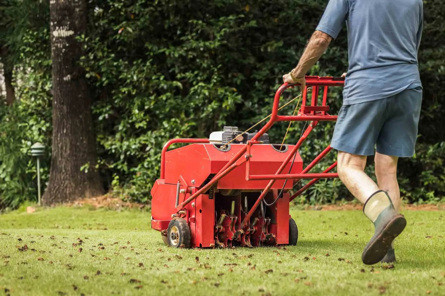 Lawn Aeration