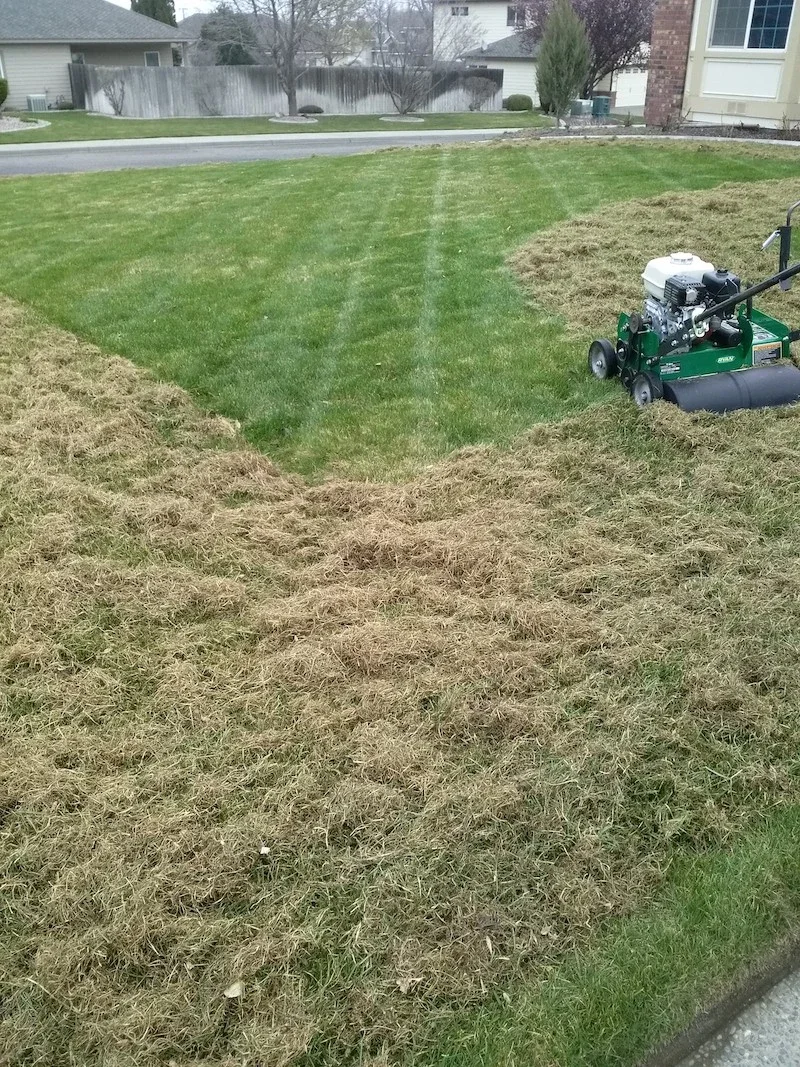 Lawn Dethatching