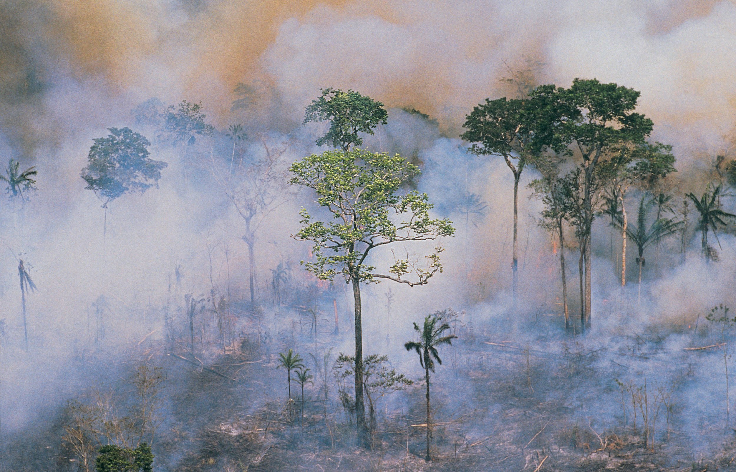 Why we need to bring disaster resilience and climate adaptation closer together
