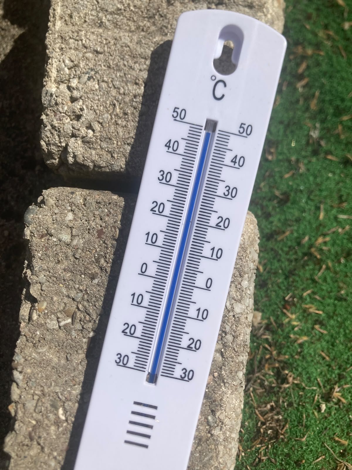 What can we learn from the sweltering heat in Europe?