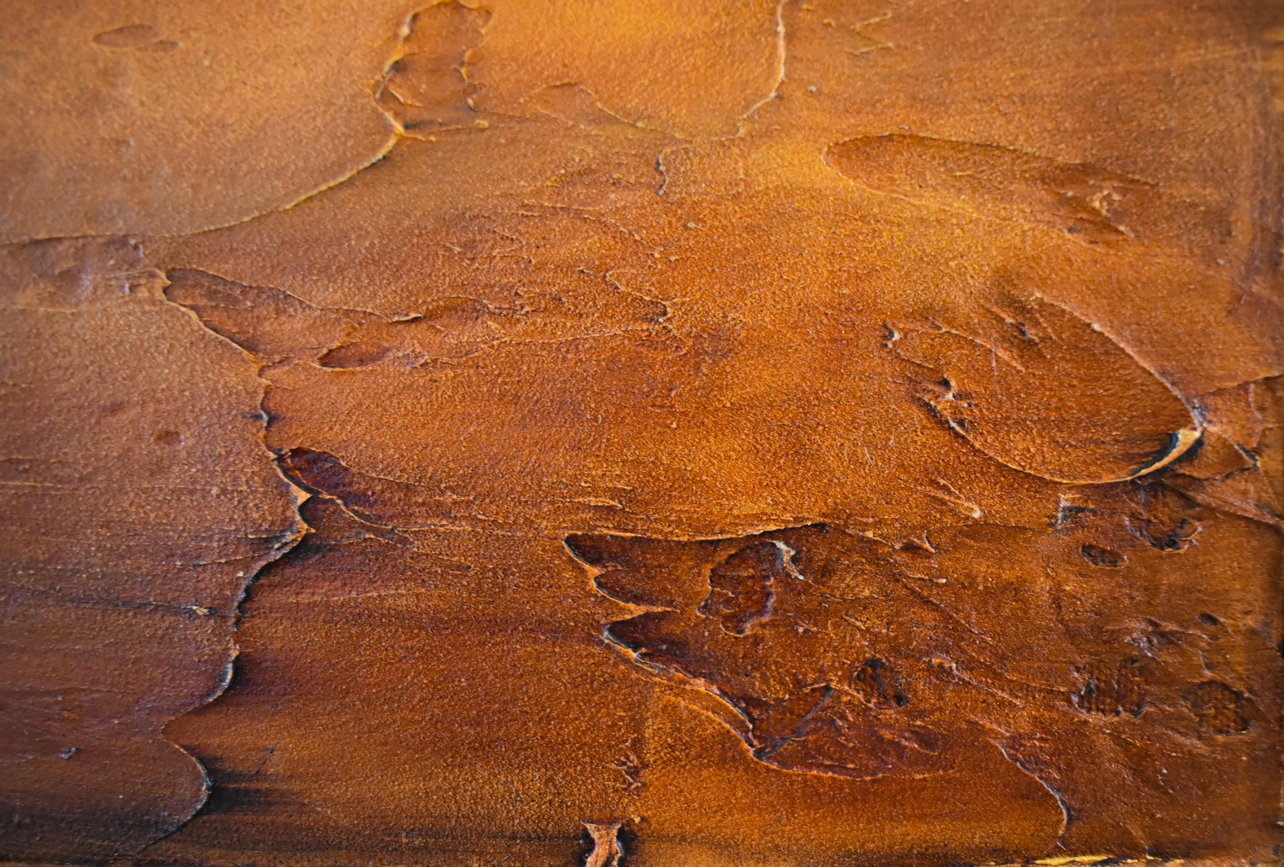 Close-up detail of Enduring Light by Kelly Sooter showing richly textured paint, layered earth tones, and the sculptural surface created through a reductive painting process.