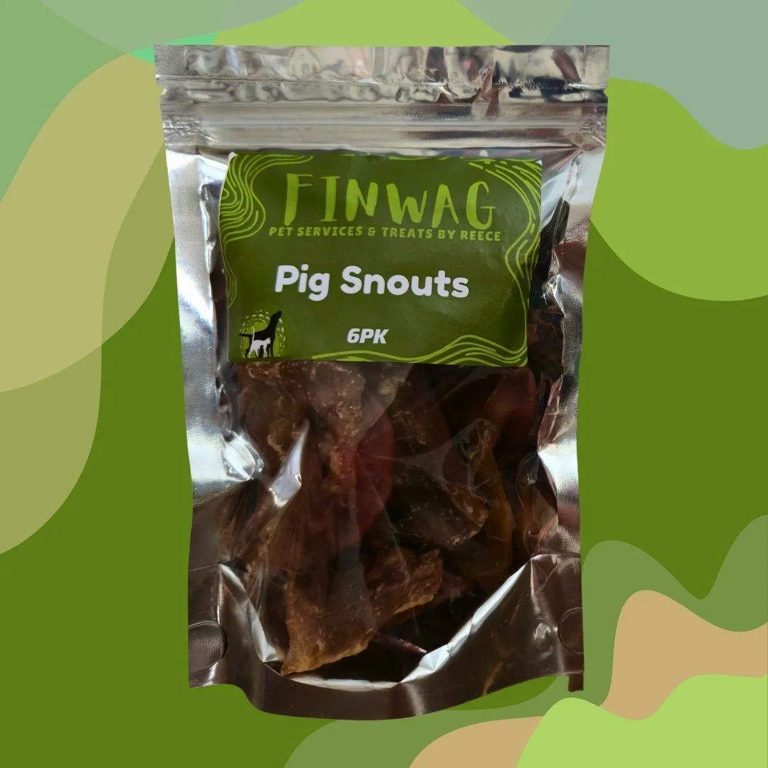 32_Pig Snouts 6PK Product Pic.jpg