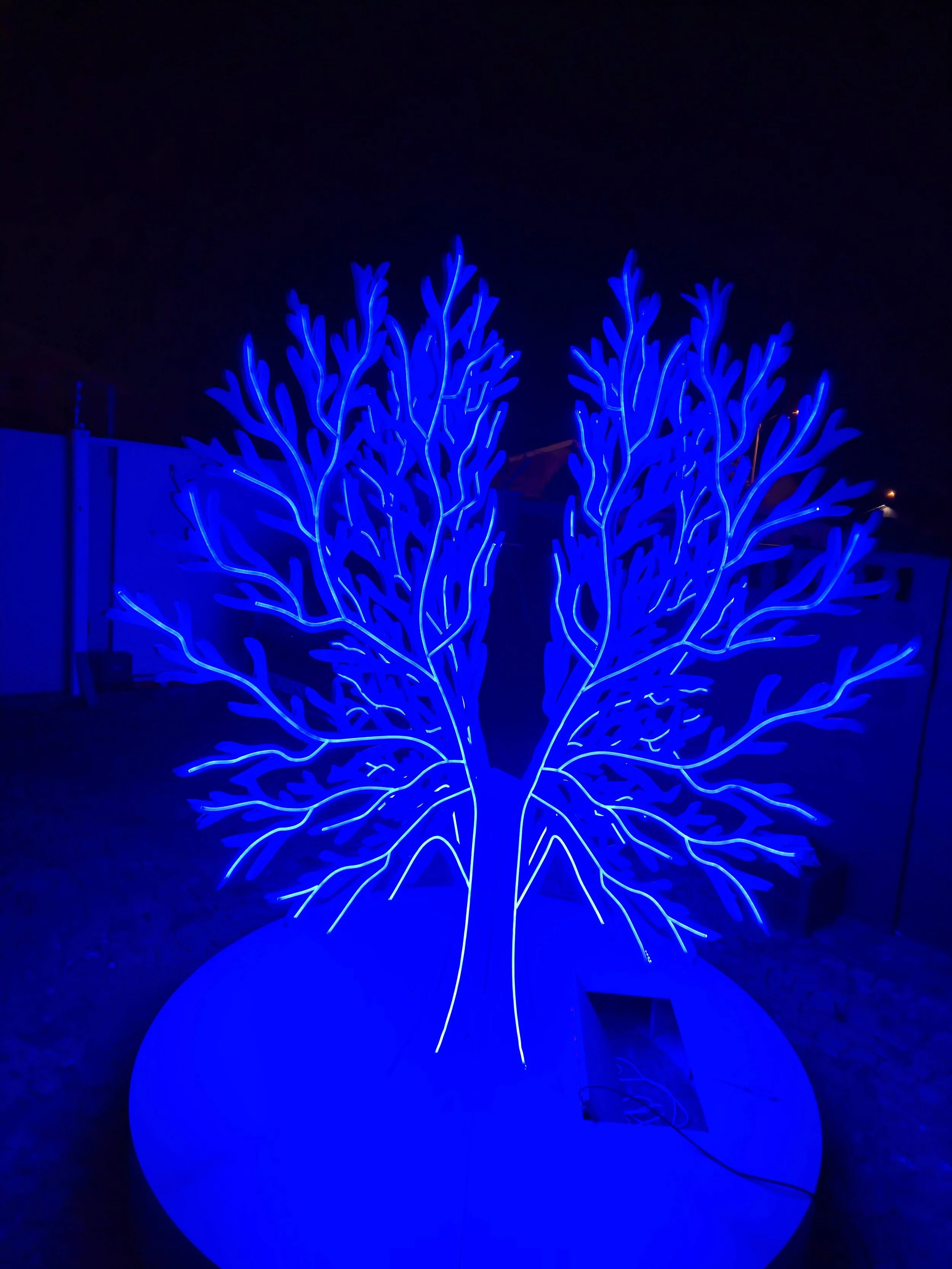 CPUT Tree out door test