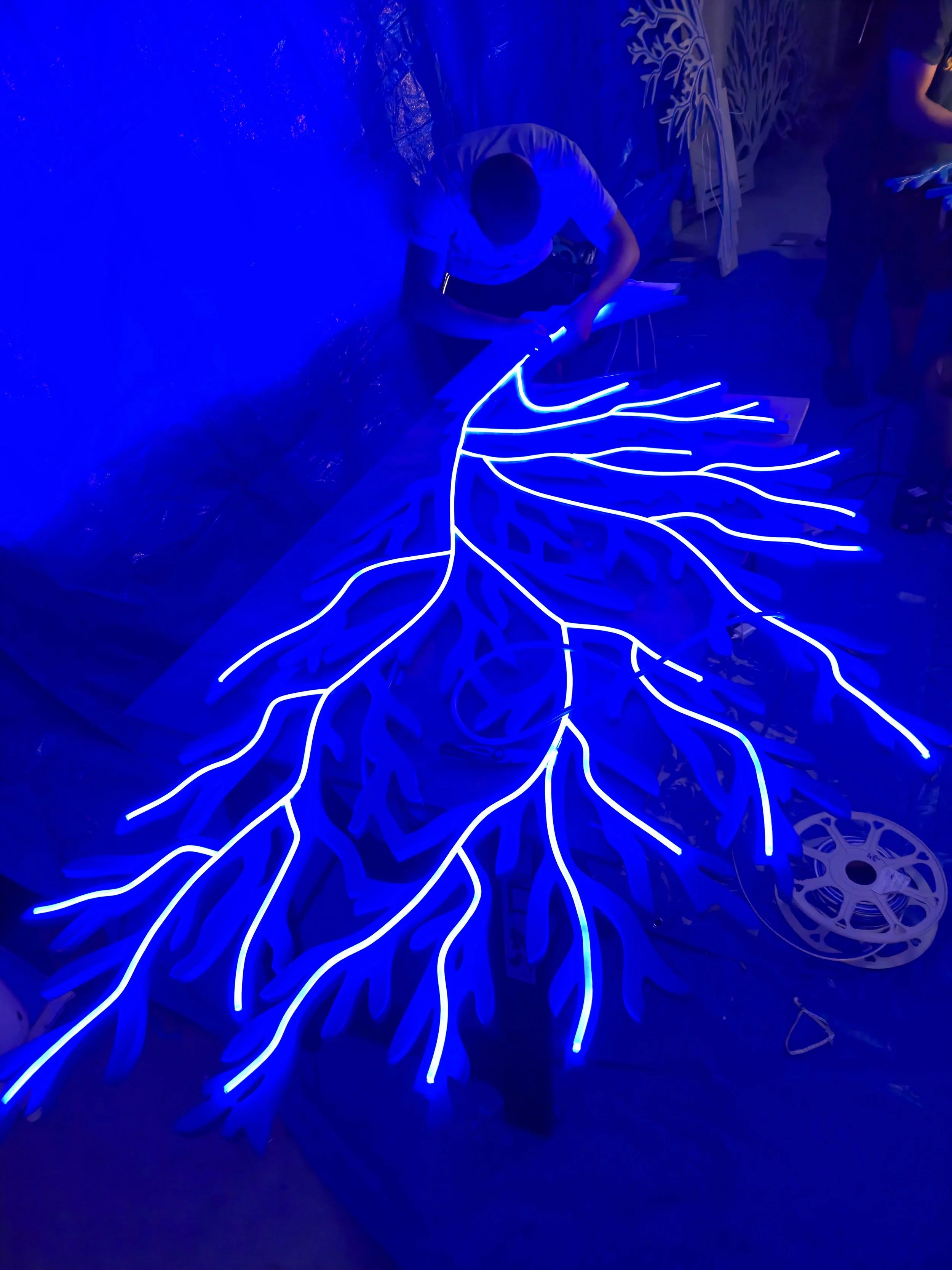 CPUT Tree lighting install
