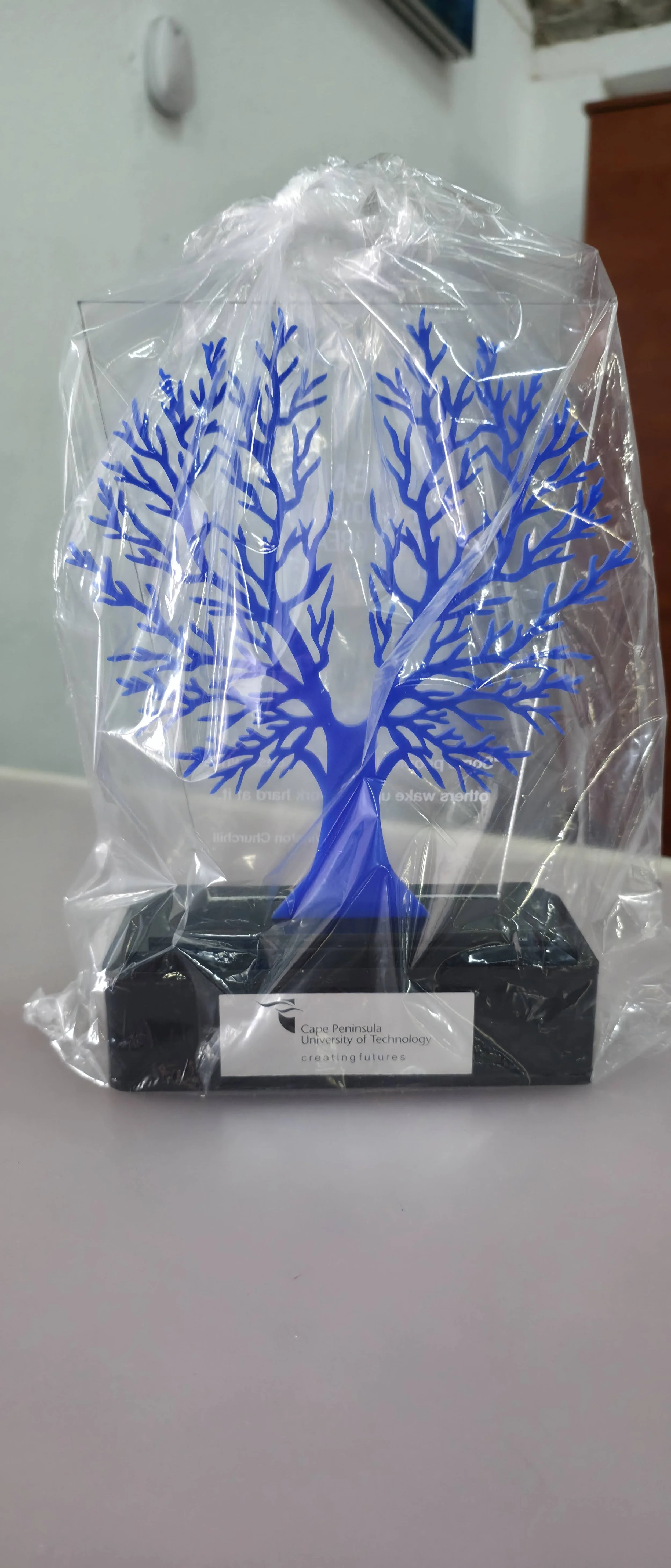 A clear plastic bag with a blue tree-shaped design inside, placed on a table or surface. The bag has a label that reads 'Cape Peninsula University of Technology creating futures'.