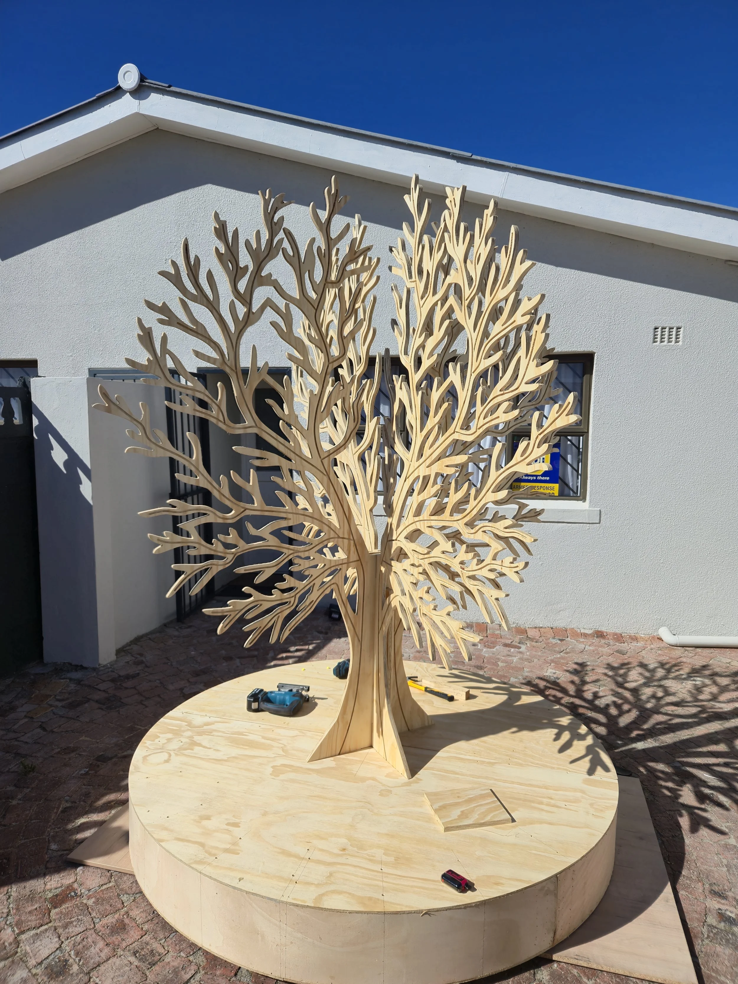 CPUT 20 Years tree